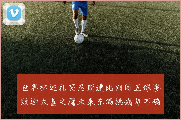 世界杯巡礼突尼斯遭比利时五球惨败迦太基之鹰未来充满挑战与不确定性